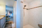 Master bath also has a stellar step in shower